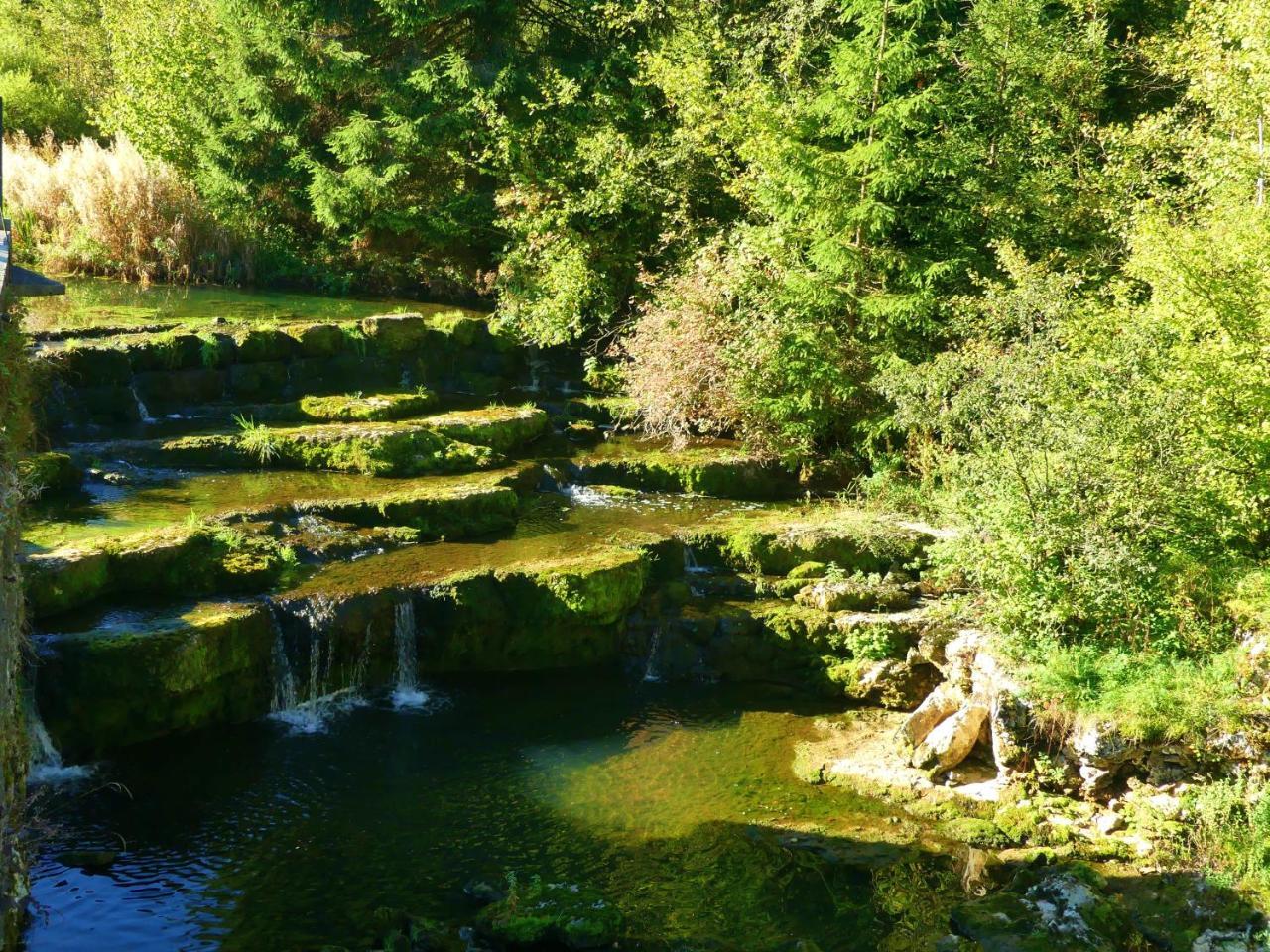 Отель Aux Truites Bleues Fort-du-Plasne Экстерьер фото