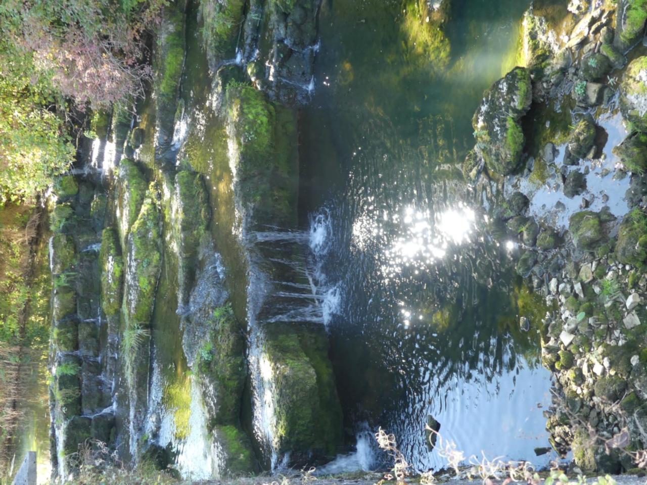 Отель Aux Truites Bleues Fort-du-Plasne Экстерьер фото